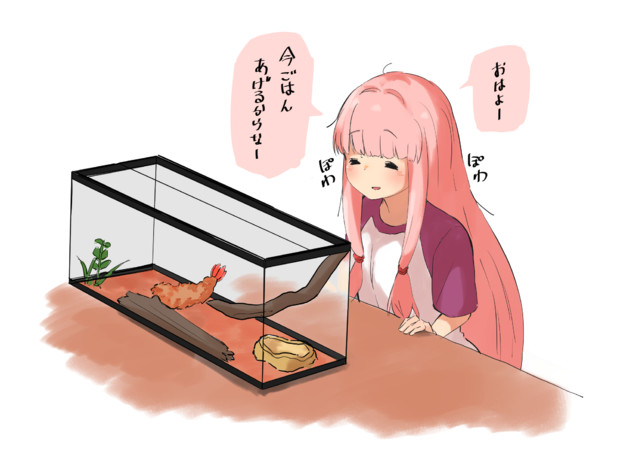 エビフライを飼育する茜ちゃん やかた さんのイラスト ニコニコ静画 イラスト