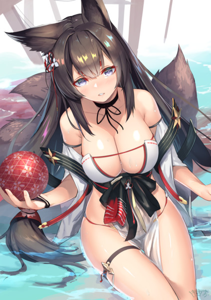 天城 アズールレーン とは アズレンノアマギとは 単語記事 ニコニコ大百科