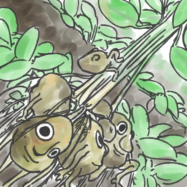 収穫じゃがいもさん Moganbo さんのイラスト ニコニコ静画 イラスト