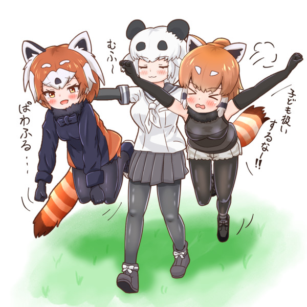 運ばレッサーパンダちゃん ぴき さんのイラスト ニコニコ静画 イラスト