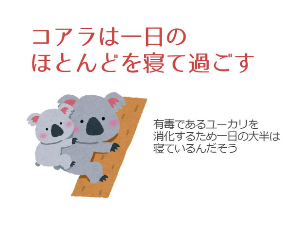 岡本数春とコアラの豆知識 岡本数春 さんのイラスト ニコニコ静画 イラスト
