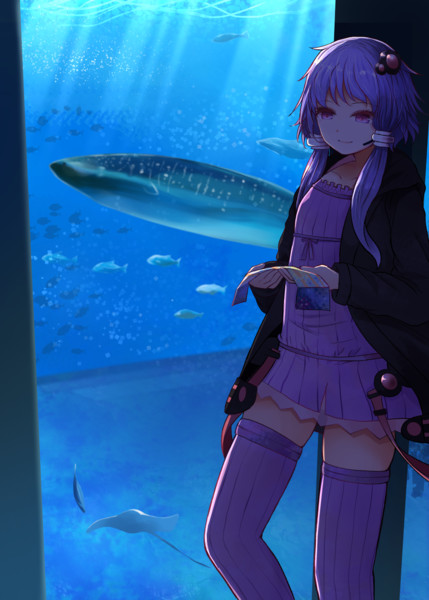 水族館 鯖味噌 荒野沖 さんのイラスト ニコニコ静画 イラスト