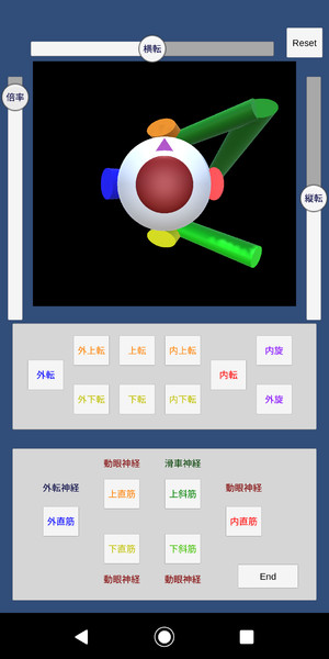 眼球運動 外眼筋の学習アプリ Stir Jr さんのイラスト ニコニコ静画 イラスト