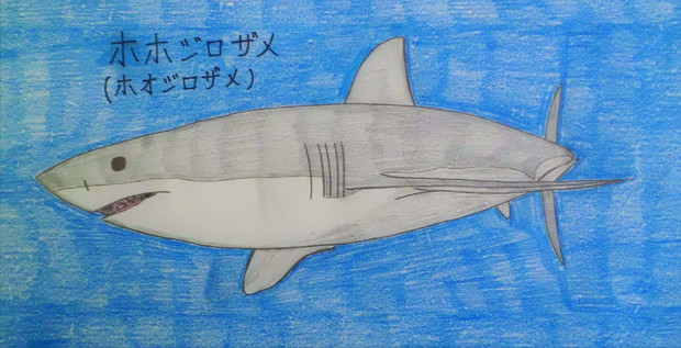 ホホジロザメ ホオジロザメ まっすー さんのイラスト ニコニコ静画 イラスト