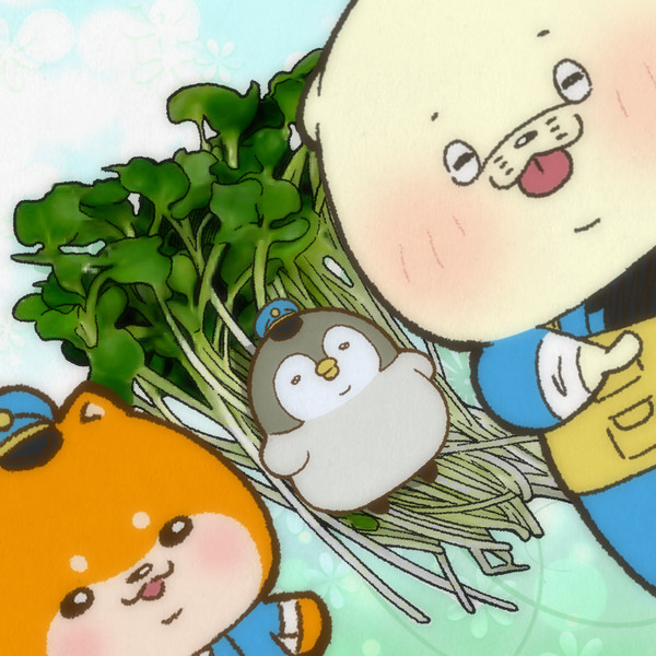 かいわれ大根の日でした はまお さんのイラスト ニコニコ静画 イラスト