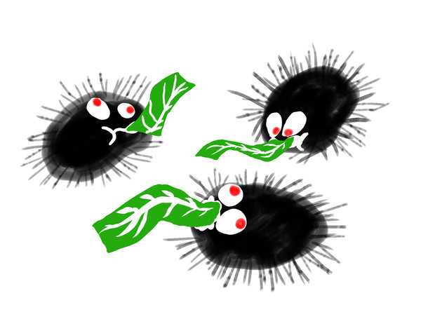 キャベツ喰うウニ から ひよこ さんのイラスト ニコニコ静画 イラスト
