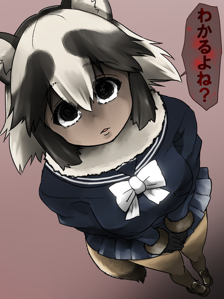 あ あの タヌキは決めた相手とずっといっしょに暮らす の Isna さんのイラスト ニコニコ静画 イラスト