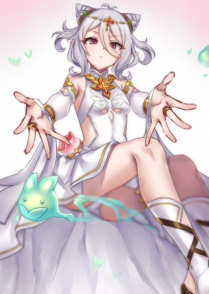 儀装束コッコロ