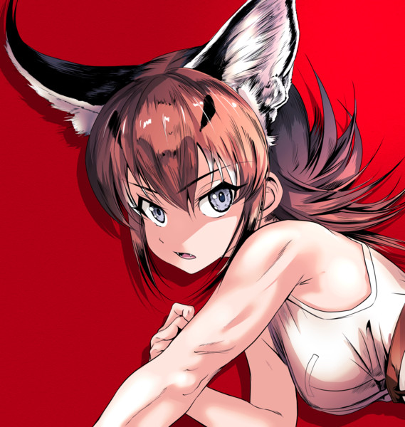 カラカルの腕の筋肉が見たかった絵 とばとば さんのイラスト ニコニコ静画 イラスト