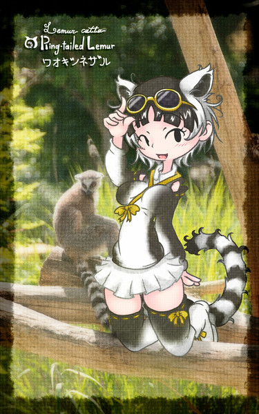 ワオキツネザルのフレンズ 大きさの概念 さんのイラスト ニコニコ静画 イラスト