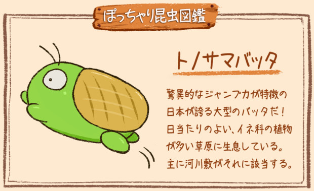 ぽっちゃり昆虫図鑑 No 0 トノサマバッタ ぽっちゃり昆虫図鑑 さんのイラスト ニコニコ静画 イラスト
