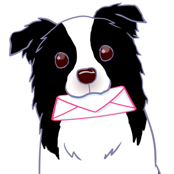 ボーダーコリー