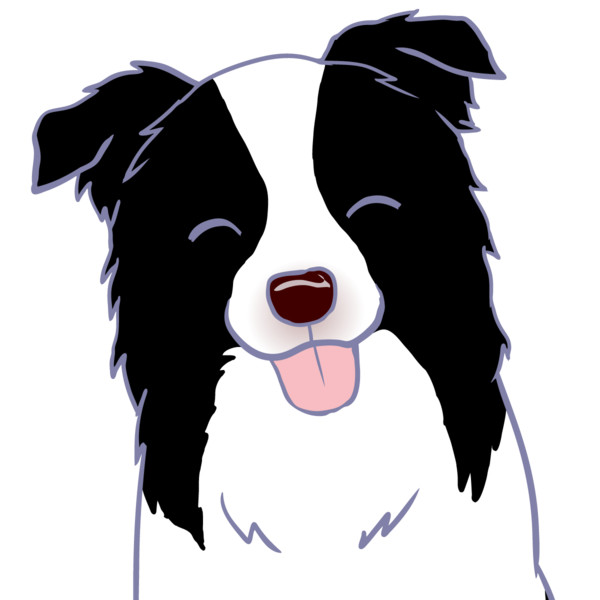 ボーダーコリー