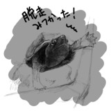 クサガメ