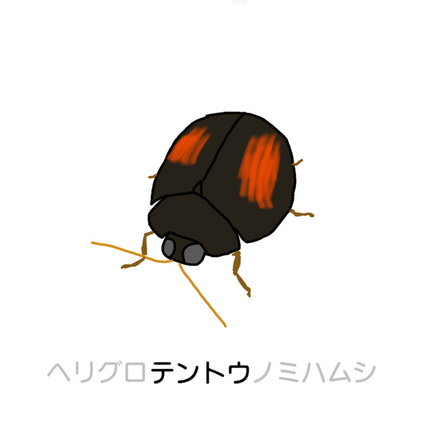 ヘリグロテントウノミハムシ ぶどう 朧 さんのイラスト ニコニコ静画 イラスト