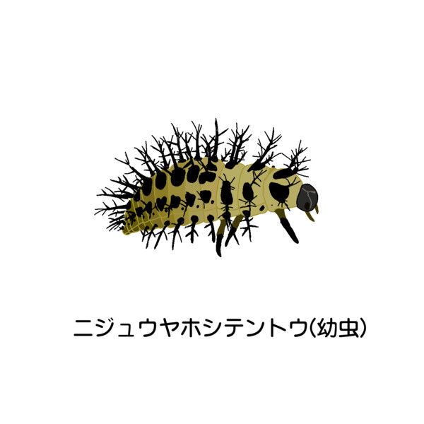 ニジュウヤホシテントウ 幼虫 ぶどう 朧 さんのイラスト ニコニコ静画 イラスト