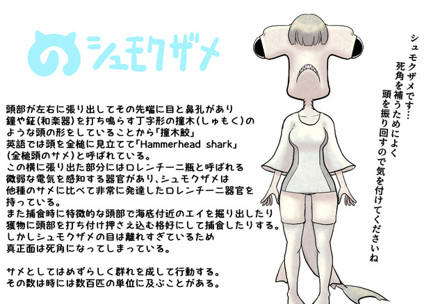 シュモクザメちゃん
