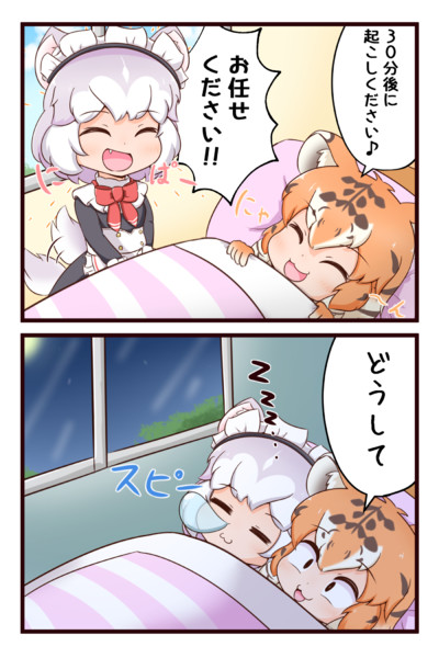 昼寝猫