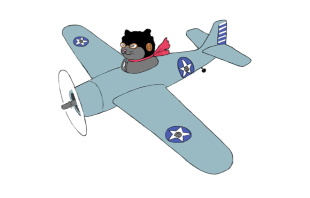 飛行機に乗った猫 まむた さんのイラスト ニコニコ静画 イラスト