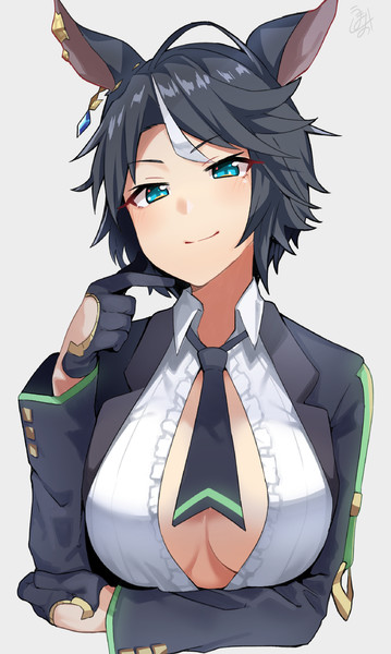 フジキセキ ウマ娘 とは フジキセキとは 単語記事 ニコニコ大百科