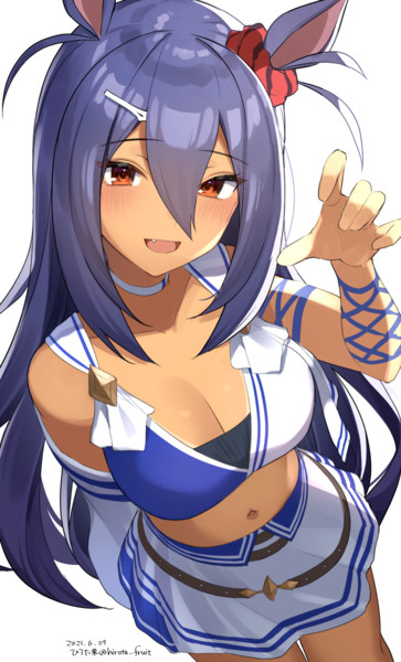 ヒシアマゾン ウマ娘 とは ヒシアマネエサンとは 単語記事 ニコニコ大百科
