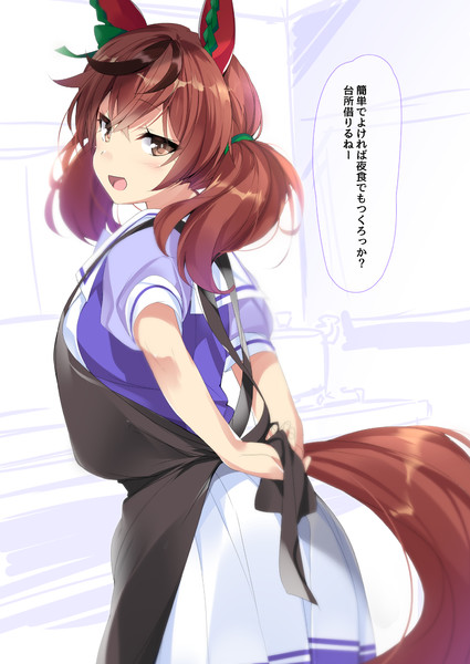 トレーナーの部屋に少しずつ私物を増やしてくタイプのナイスネイチャ Mtu さんのイラスト ニコニコ静画 イラスト