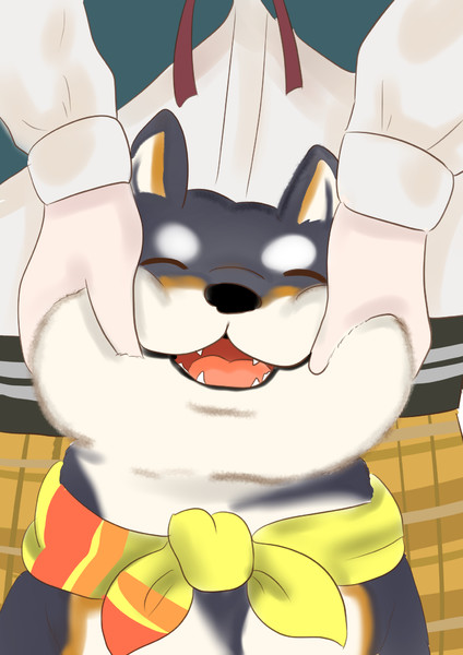 しばは元気よ