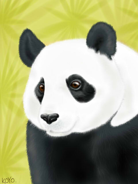ジャイアントパンダ 羊毛民 さんのイラスト ニコニコ静画 イラスト