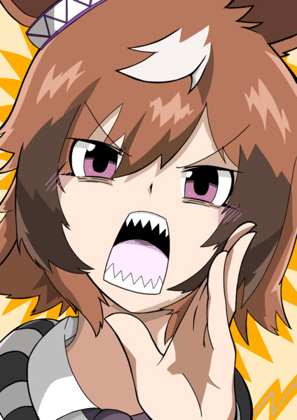 シンコウウインディ