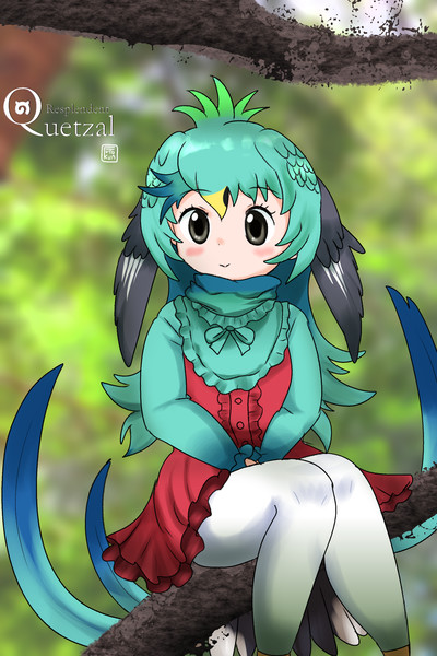 ケツァールちゃん