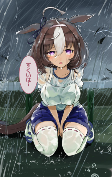 びしょ濡れドトウ Sinzan さんのイラスト ニコニコ静画 イラスト