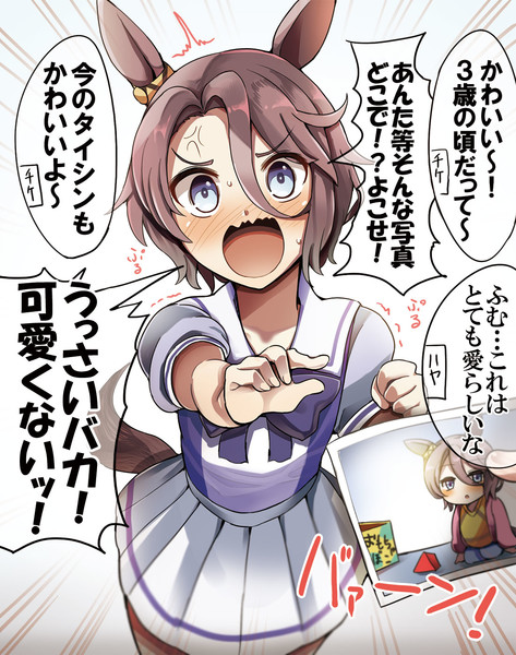 ウマ娘 ナリタタイシン アクリルスタンド アクリルスタンド