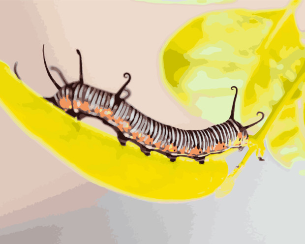葉にすがりつくイモムシ ニコニコ静画 イラスト