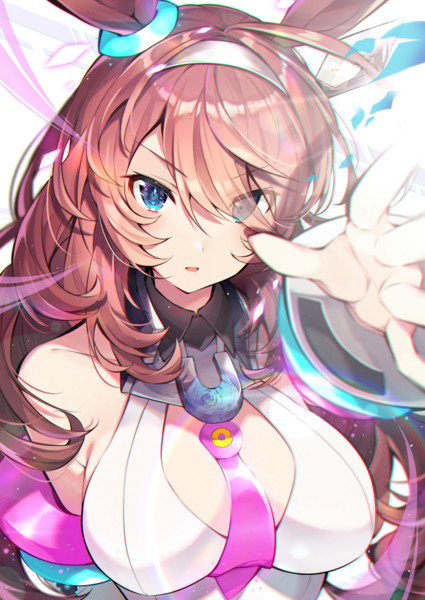 ミホノブルボン ウマ娘 とは ミホノブルボンとは 単語記事 ニコニコ大百科