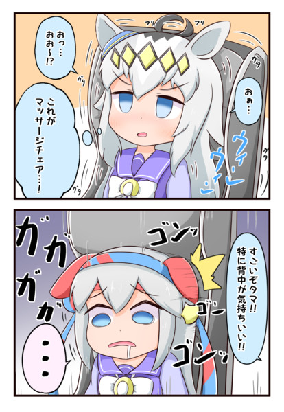 高さが足りなかったタマモクロス