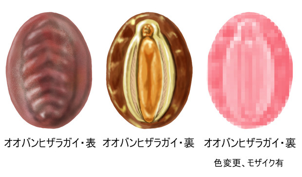 生物練習