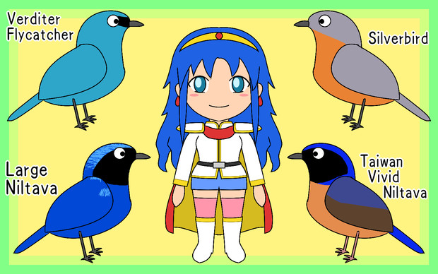 色々な鳥と少女