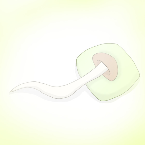 横になるしめじ Kohei さんのイラスト ニコニコ静画 イラスト