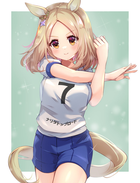 ナリタトップロード ウマ娘 とは ナリタトップロードとは 単語記事 ニコニコ大百科