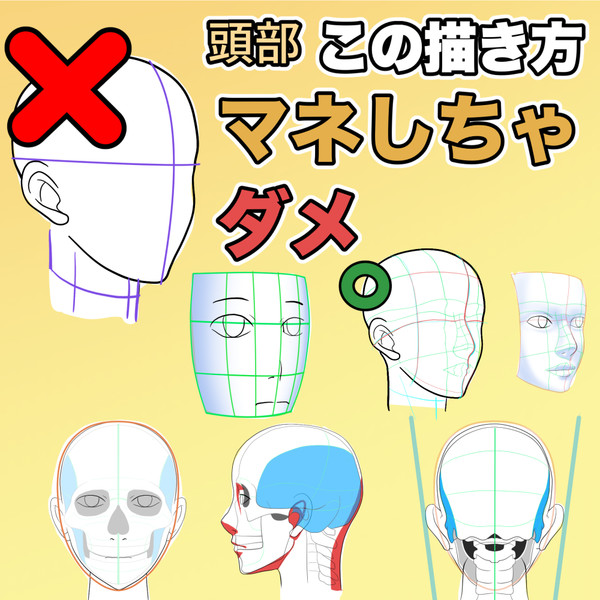 解説動画 その頭の描き方 間違ってないかい 16 Tk8 さんのイラスト ニコニコ静画 イラスト