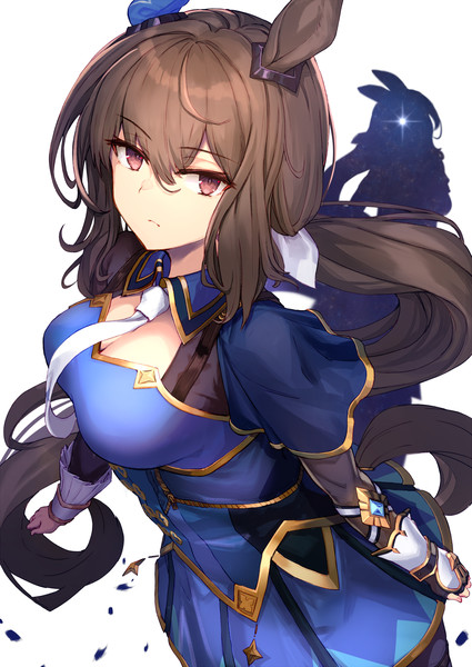アドマイヤベガ