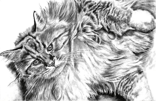 ノルウェージャンフォレストキャット ミストイ さんのイラスト ニコニコ静画 イラスト