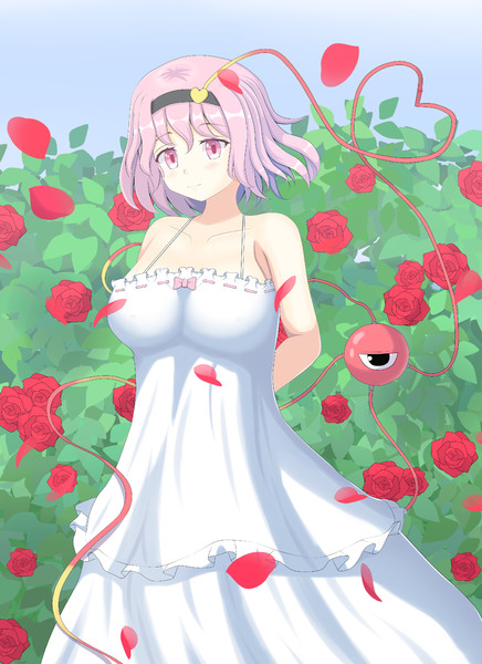 ワンピースさとりん みそインパクト さんのイラスト ニコニコ静画 イラスト