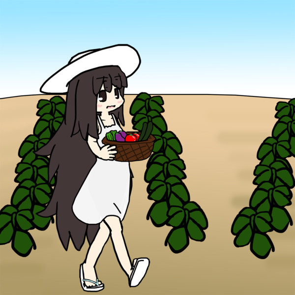 夏野菜を収穫する