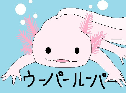 ウーパールーパー ニコニコ静画 イラスト