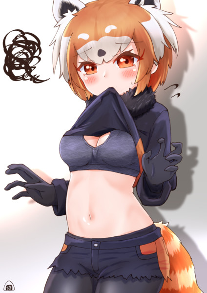 たくし上げレパおなか