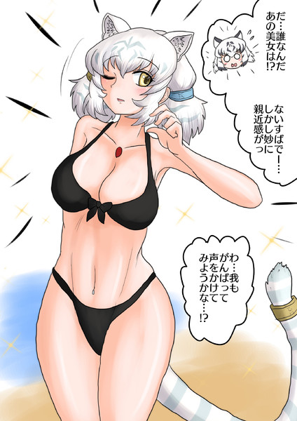 ビーチに繰り出すビャッコさま