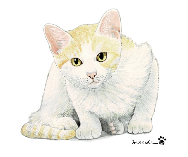 子猫ちゃん もっち さんのイラスト ニコニコ静画 イラスト