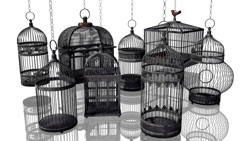 鳥籠 加粗304不鏽鋼方形鳥籠適用鸚鵡八哥的金剛品牌大號鳥籠