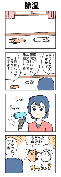 除湿